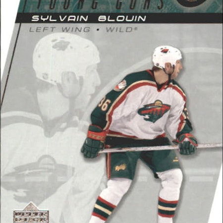 2002-03 Upper Deck #209 Sylvain Blouin YG RC (12-X310-NHLWILD)