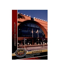 2009 Upper Deck 20th Anniversary #582 Anaheim Ducks (10-X119-DUCKS)