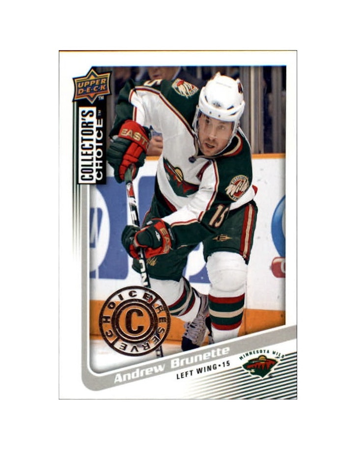 2009-10 Collector's Choice Reserve #77 Andrew Brunette (10-X110-NHLWILD)