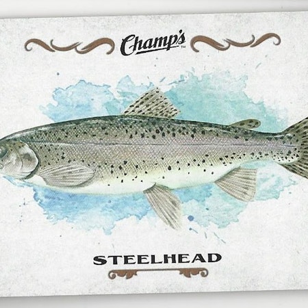 2015-16 Upper Deck Champ's Fish #F3 Steelhead (10-267x1-OTHERS)