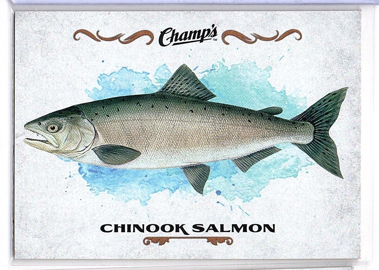 2015-16 Upper Deck Champ's Fish #F7 Chinook Salmon (10-249x2-OTHERS)