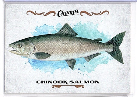 2015-16 Upper Deck Champ's Fish #F7 Chinook Salmon (10-249x2-OTHERS)