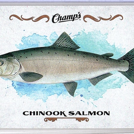 2015-16 Upper Deck Champ's Fish #F7 Chinook Salmon (10-249x2-OTHERS)