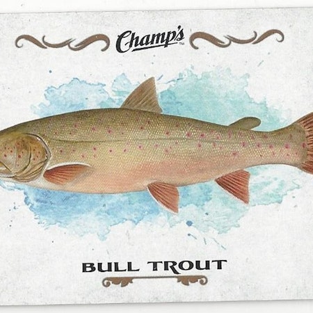 2015-16 Upper Deck Champ's Fish #F9 Bull Trout (10-X126-OTHERS)