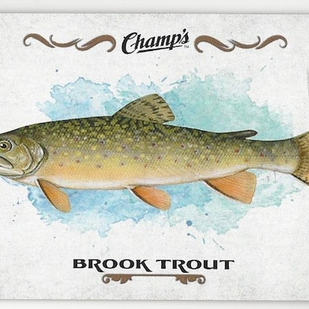 2015-16 Upper Deck Champ's Fish #F12 Brook Trout (10-19x8-OTHERS)