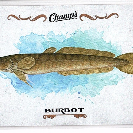 2015-16 Upper Deck Champ's Fish #F15 Burbot (10-X83-OTHERS)