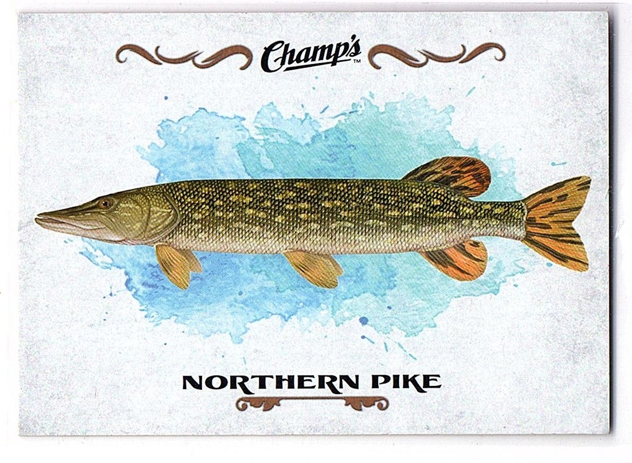 2015-16 Upper Deck Champ's Fish #F17 Northern Pike (10-25x9-OTHERS)