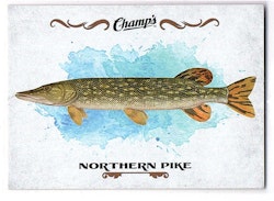 2015-16 Upper Deck Champ's Fish #F17 Northern Pike (10-25x9-OTHERS)
