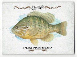 2015-16 Upper Deck Champ's Fish #F19 Pumpkinseed (10-X126-OTHERS)