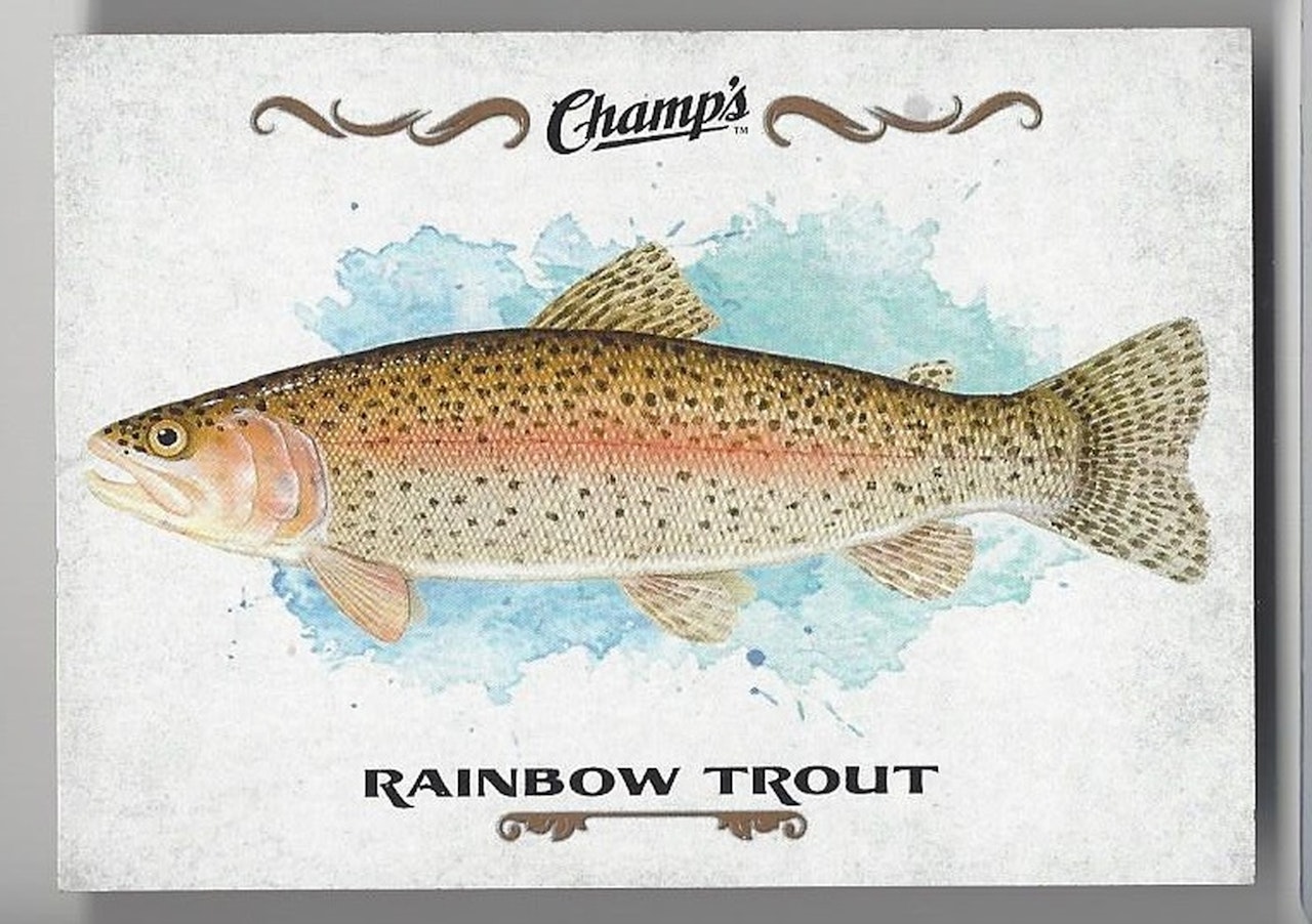 2015-16 Upper Deck Champ's Fish #F20 Rainbow Trout (10-X118-OTHERS)
