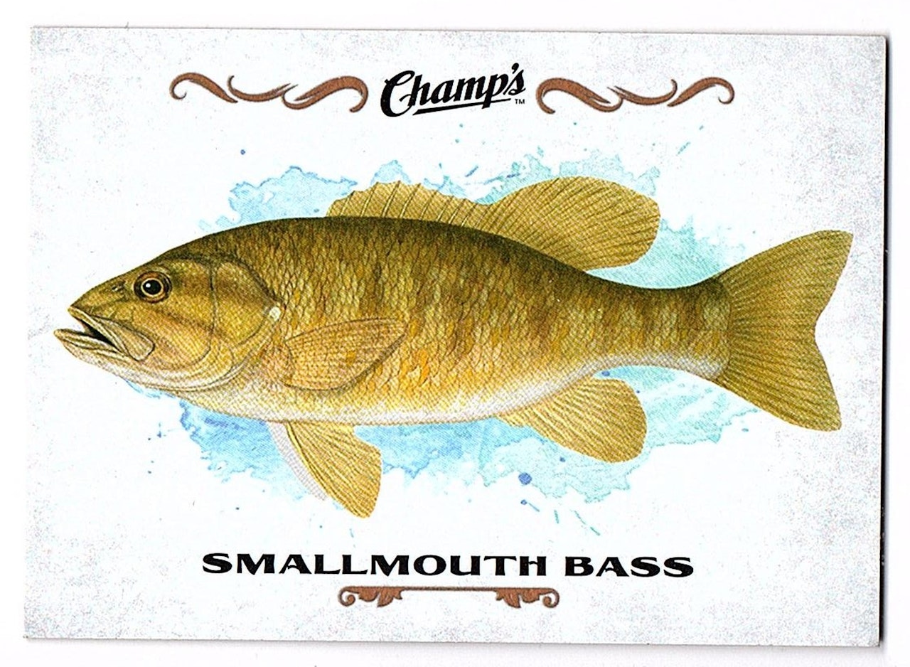 2015-16 Upper Deck Champ's Fish #F24 Smallmouth Bass (10-X30-OTHERS)