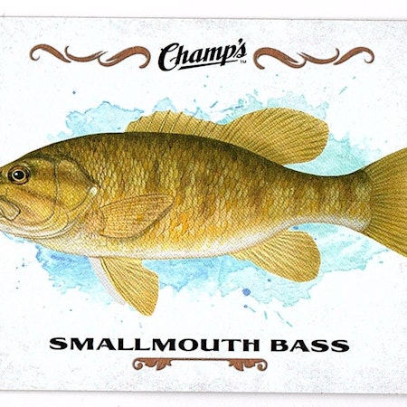 2015-16 Upper Deck Champ's Fish #F24 Smallmouth Bass (10-X30-OTHERS)