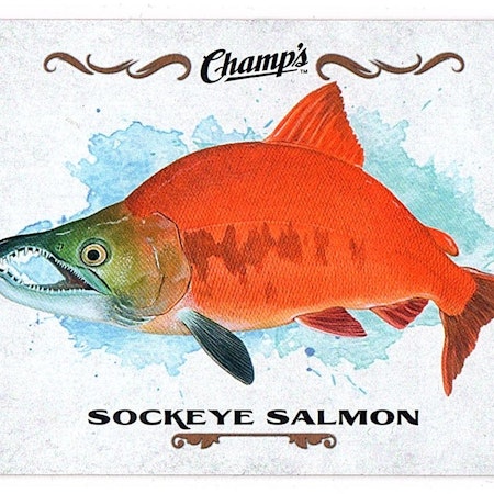 2015-16 Upper Deck Champ's Fish #F25 Sockeye Salmon (10-X129-OTHERS)