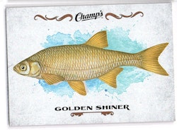 2015-16 Upper Deck Champ's Fish #F27 Golden Shiner (10-X13-OTHERS)