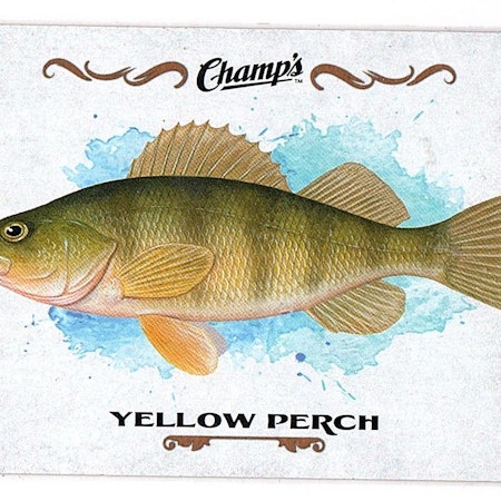2015-16 Upper Deck Champ's Fish #F29 Yellow Perch (10-11x2-OTHERS)