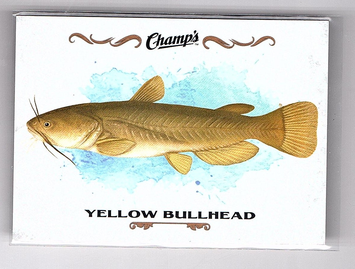 2015-16 Upper Deck Champ's Fish #F30 Yellow Bullhead (10-24x4-OTHERS)