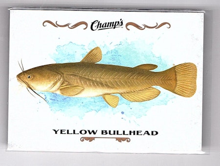 2015-16 Upper Deck Champ's Fish #F30 Yellow Bullhead (10-24x4-OTHERS)