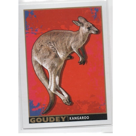 2017 Upper Deck Goodwin Champions Goudey Animals #GA6 Kangaroo (10-X141-OTHERS)