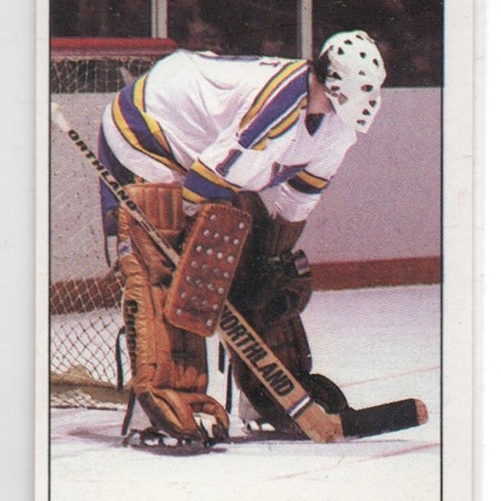1982-83 Topps Stickers #196 Mike Liut (10-X335-BLUES)