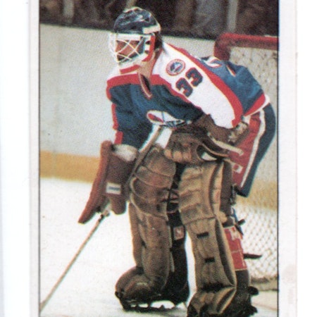 1982-83 Topps Stickers #211 Doug Soetaert (5-X341-NHLJETS)