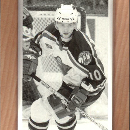 2003-04 Beehive Variations #99 Marian Gaborik (12-X353-NHLWILD)