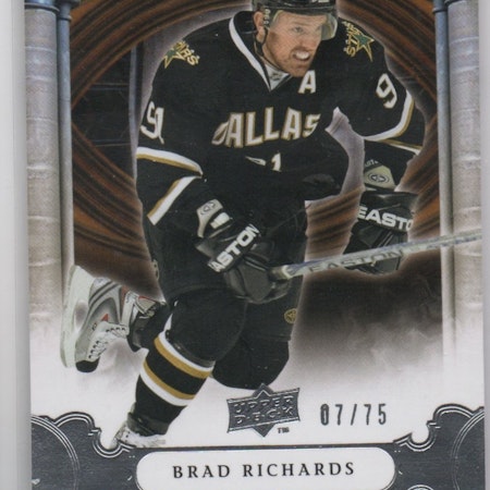 2009-10 Artifacts Silver #62 Brad Richards (25-X362-NHLSTARS)
