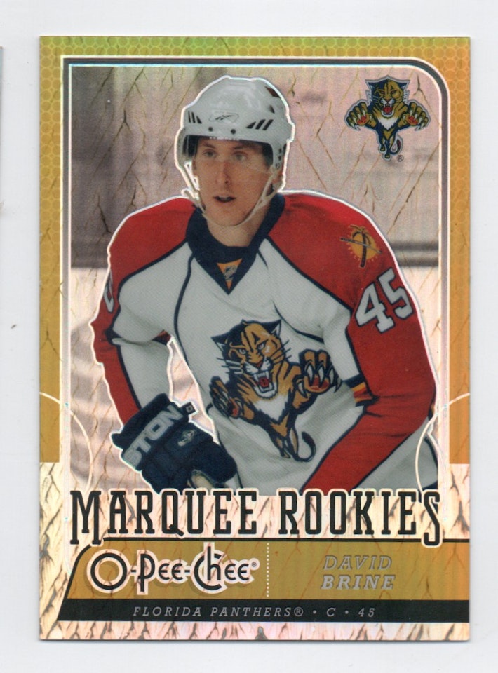2008-09 O-Pee-Chee Metal X #530 David Brine (20-X368-NHLPANTHERS)