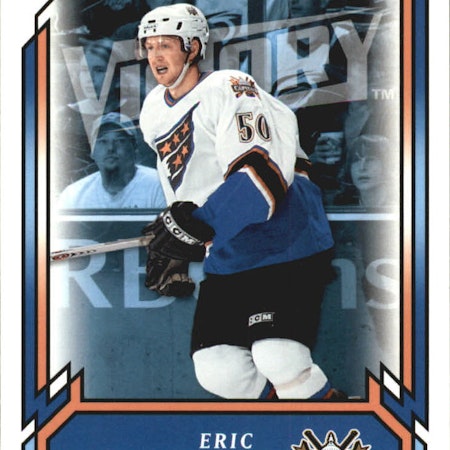 2006-07 Upper Deck Victory #205 Eric Fehr RC (10-318x1-CAPITALS)