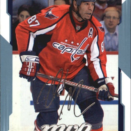 2008-09 Upper Deck MVP #296 Donald Brashear (5-341x8-CAPITALS)