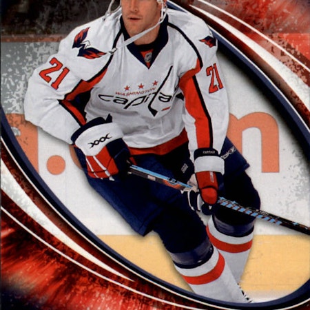 2008-09 Upper Deck Power Play #294 Brooks Laich (5-342x9-CAPITALS)