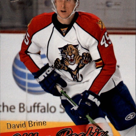 2008-09 Ultra #234 David Brine RC (10-X276-NHLPANTHERS)