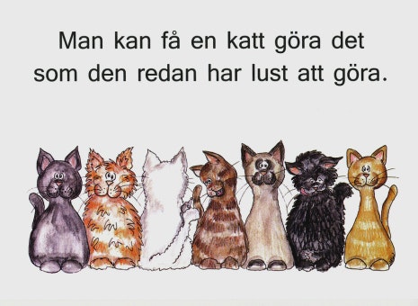 Kort med citat