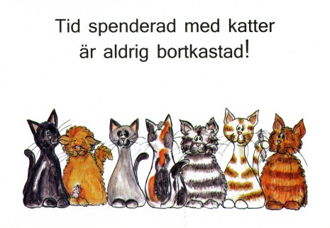 Kort med citat