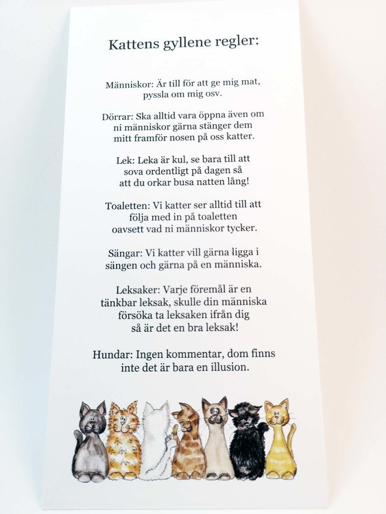 Kort, kattens gyllene regler