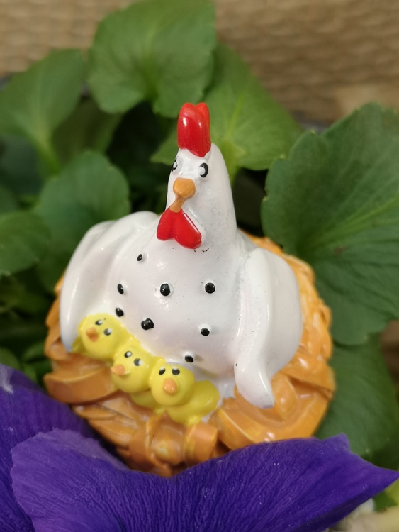Höna i rede med små kycklingar