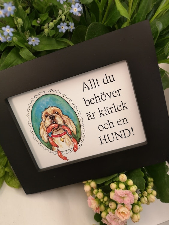 Tavla, hund med korvar