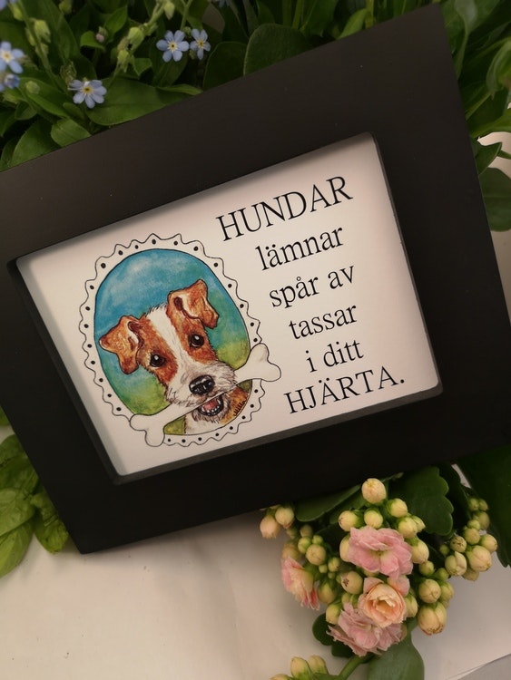 Tavla, hund med ben