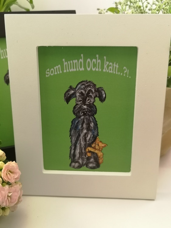 Tavla, "Som hund och katt..."