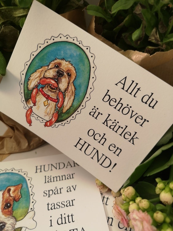 kort, hund med korvar