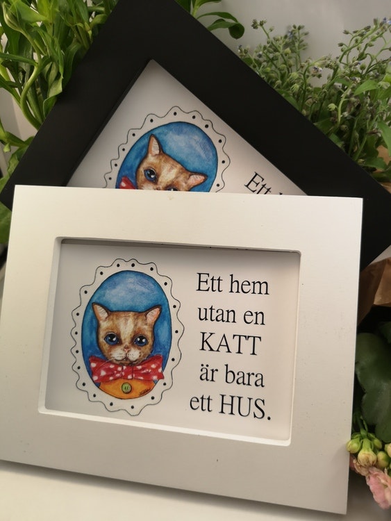 Tavla, katt med blått