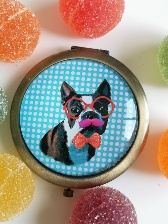 Fickspegel, Bostonterrier