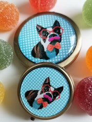 Fickspegel, Bostonterrier