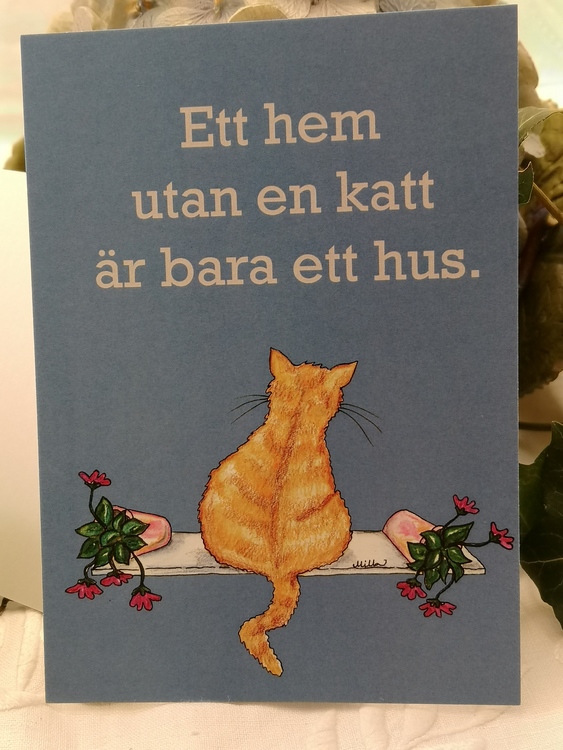 Gul katt på ljusblå bakgrund, vykort