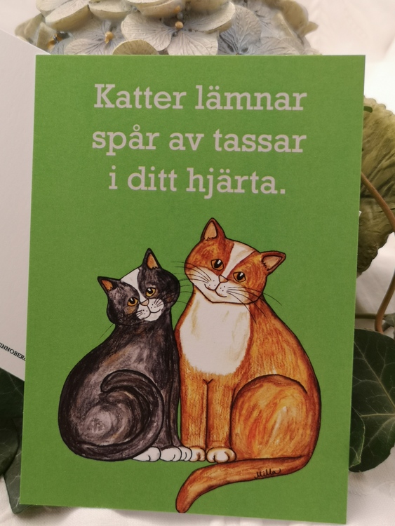 två katter på grön bakgrund, vykort
