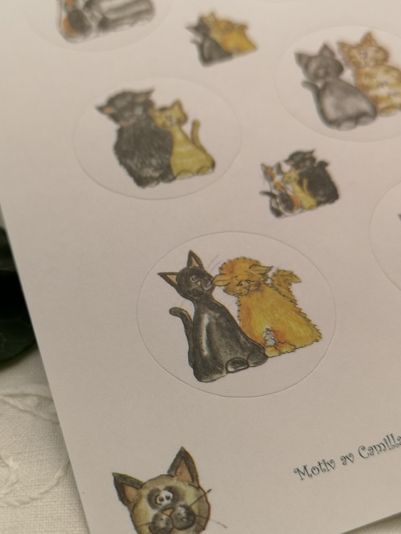 Stickers, katter