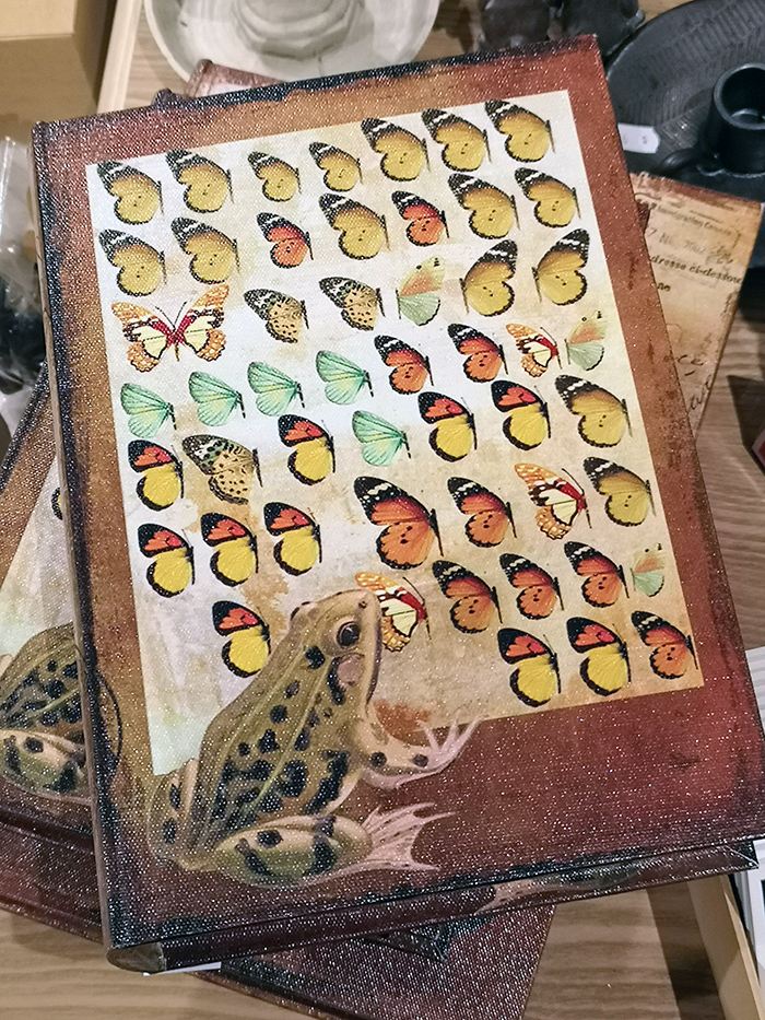 Boklåda, groda och fjärilar