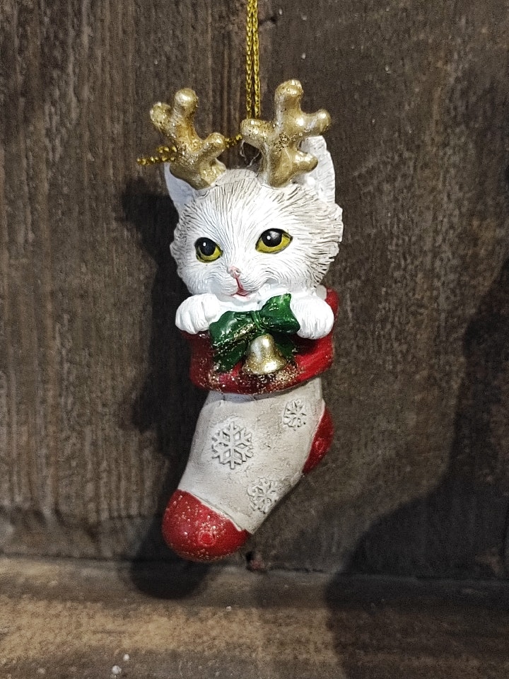 Katt i julstrumpa, hängande