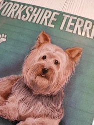 Plåtskylt, Yorkshire terrier