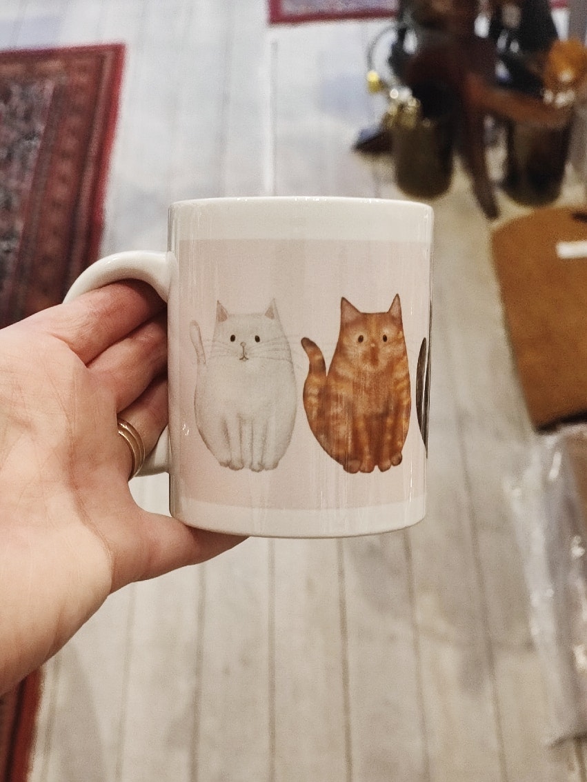 Mugg, katter på rad