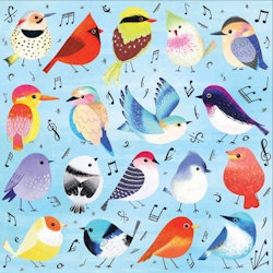 Pussel, Songbirds